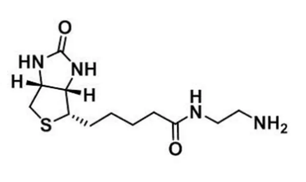 111790-37-5,Biotin-NH2,生物素-氨基,N-(2-氨基乙基)生物素胺,可使抗体、蛋白质,含羧基的生物分子简单生物素化 111790-37-5,Biotin-NH2,生物素-氨基,N-(2-氨基乙基)生物素胺,可使抗体、蛋白质,含羧基的生物分子简单生物素化