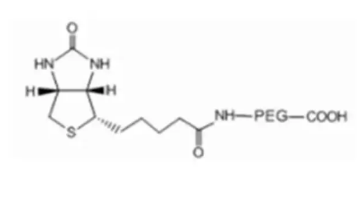Biotin-PEG-COOH,MW:2k,一种含有生物素和羧酸的线性杂双功能PEG试剂,粘稠液体或者固体粉末,取决于分子量 Biotin-PEG-COOH,MW:2k,一种含有生物素和羧酸的线性杂双功能PEG试剂,粘稠液体或者固体粉末,取决于分子量