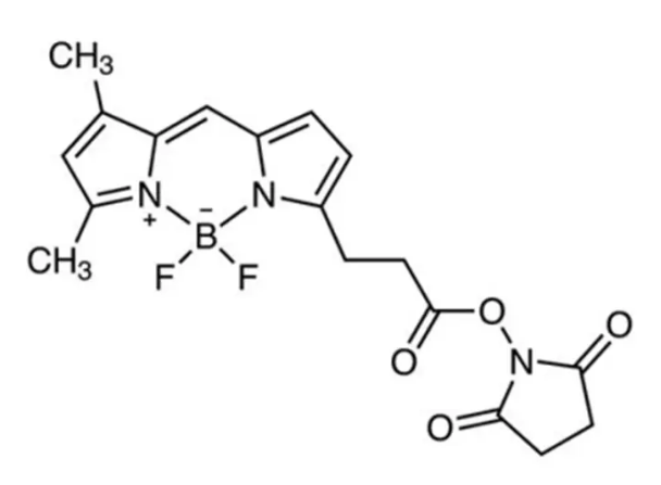 BDP FL NHS ester,146616-66-2,一种用于488 nm通道的**染料,是荧光素的替代品 BDP FL NHS ester,146616-66-2,一种用于488 nm通道的**染料,是荧光素的替代品