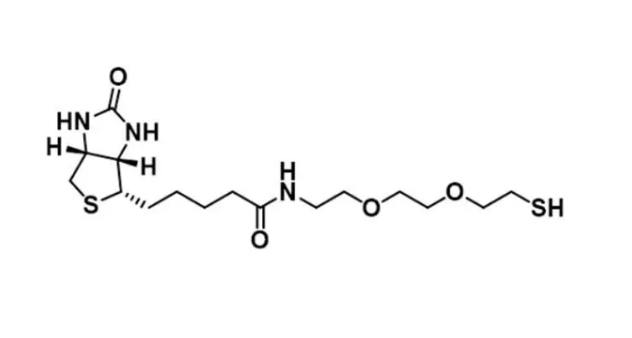 Biotin-PEG2-SH,生物素-二聚乙二醇-巯基,Biotin-PEG2-Thiol 是一种 PROTAC linker,属于 PEG 类 Biotin-PEG2-SH,生物素-二聚乙二醇-巯基,Biotin-PEG2-Thiol 是一种 PROTAC linker,属于 PEG 类