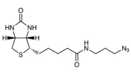 Biotin-Azide,Biotin-PEG4-Amine-C6-Azide,CAS:908007-17-0/1006592-62-6,叠氮生物素可通过铜催化的点击反应与末端炔烃反应 Biotin-Azide,Biotin-PEG4-Amine-C6-Azide,CAS:908007-17-0/1006592-62-6,叠氮生物素可通过铜催化的点击反应与末端炔烃反应