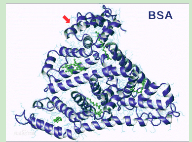 磺胺地索辛-聚乙二醇-牛血清白蛋白 磺胺地索辛-聚乙二醇-牛血清白蛋白