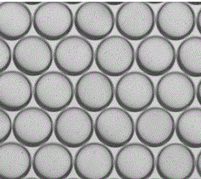 橙色荧光聚苯乙烯微球 1μm,Orange fluorescent polystyrene microsphere 1 μ m 橙色荧光聚苯乙烯微球 1μm,Orange fluorescent polystyrene microsphere 1 μ m