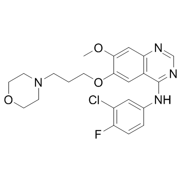 Gefitinib  Gefitinib