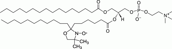 16:0-7 Doxyl PC 16:0-7 Doxyl PC