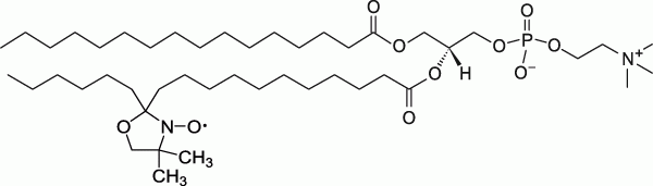 16:0-12 Doxyl PC 16:0-12 Doxyl PC