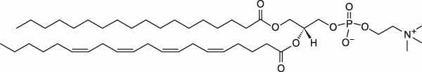 18:0-20:4 PC|1-stearoyl-2-arachidonoyl-sn-glycero-3-phosphocholine(磷脂) 18:0-20:4 PC|1-stearoyl-2-arachidonoyl-sn-glycero-3-phosphocholine(磷脂)