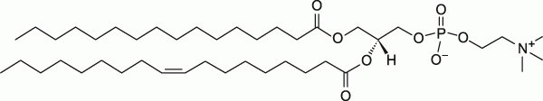 16:0-18:1 PC (POPC)|1-palmitoyl-2-oleoyl-glycero-3-phosphocholine 16:0-18:1 PC (POPC)|1-palmitoyl-2-oleoyl-glycero-3-phosphocholine