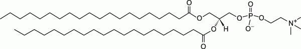 20:0 PC|1,2-diarachidoyl-sn-glycero-3-phosphocholine 20:0 PC|1,2-diarachidoyl-sn-glycero-3-phosphocholine