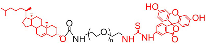 胆固醇 聚乙二醇 荧光素 、胆固醇PEG荧光素、Cholesterol-PEG-FITC 胆固醇 聚乙二醇 荧光素 、胆固醇PEG荧光素、Cholesterol-PEG-FITC