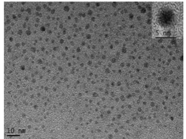 羧基修饰碳量子点 羧基修饰碳量子点