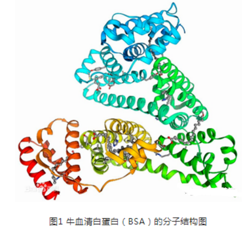Hitamine-BSA组胺BSA Hitamine-BSA组胺BSA