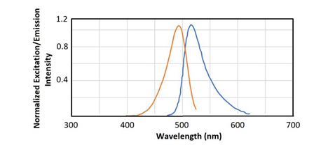 FITC-菊粉 FITC-菊粉