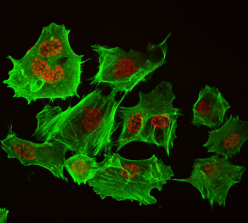 1686121805744671.png 微信截图_20230602164649.png