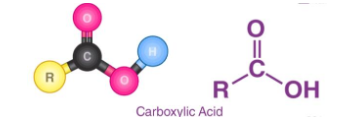 COOH-PEG-R8 COOH-PEG-R8