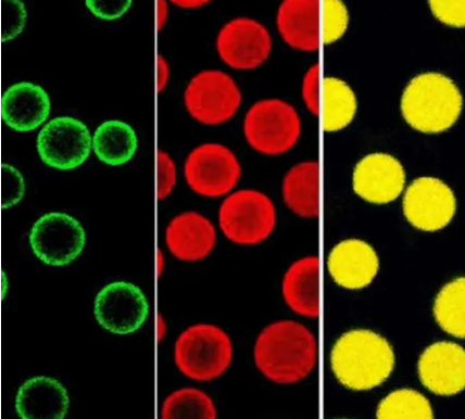 二氧化硅磁性微球:红色 橙色 绿色 二氧化硅磁性微球:红色 橙色 绿色