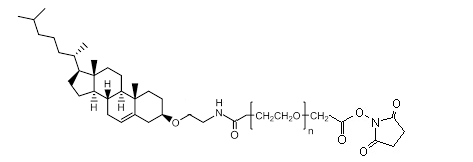 1687923494132782.png 1.png