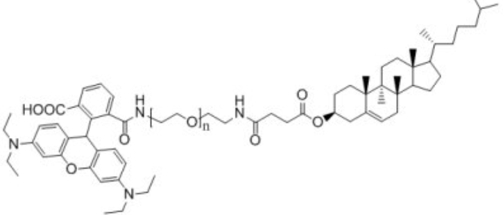 1687923566553622.png 1.png