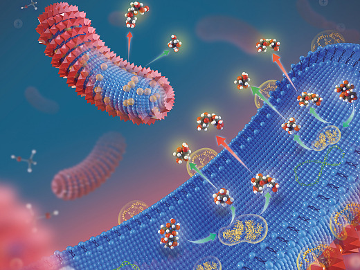 1689132915635553.jpeg 01b0f15f5073c811013f1a64789491.jpg