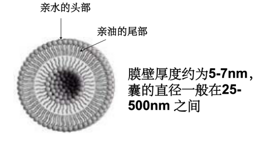 曲安奈德壳聚糖脂质体 曲安奈德壳聚糖脂质体