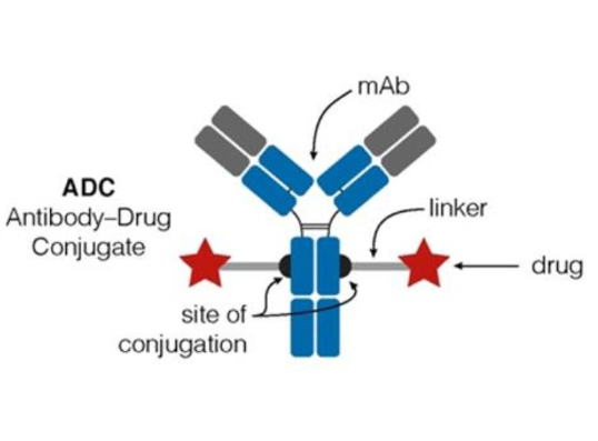 1700101656110672.png 1.png