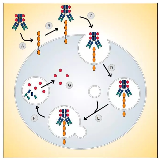 1700101868544346.png 4.png