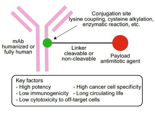 1700461176538499.png 2.png