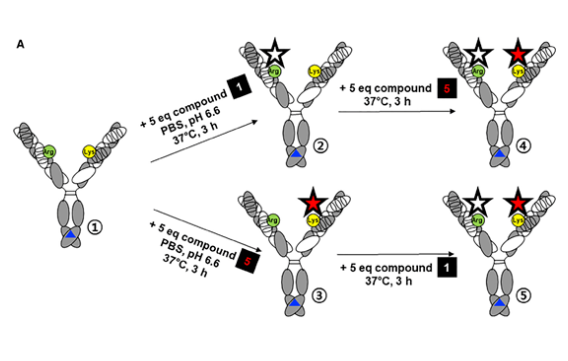 1700461223207671.png 3.png