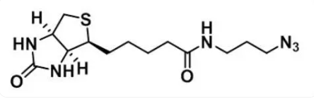 Biotin Azide Biotin Azide