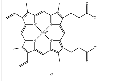 1702026070764986.png image.png