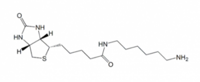 N-Biotinyl-1,6-hexanediamine 生物素-1.6-已二胺 N-Biotinyl-1,6-hexanediamine 生物素-1.6-已二胺