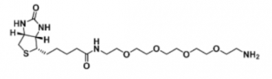 生物素-四乙二醇-氨基 生物素-四乙二醇-氨基