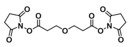 CAS:65869-64-9;双(2,5-二氧代吡咯烷-1-基) 3,3-氧基二丙酸酯;Bis-PEG1-NHS ester CAS:65869-64-9;双(2,5-二氧代吡咯烷-1-基) 3,3-氧基二丙酸酯;Bis-PEG1-NHS ester