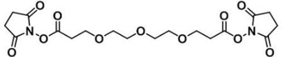 活性酯三聚乙二醇活性酯;NHS-PEG3-NHS ester 活性酯三聚乙二醇活性酯;NHS-PEG3-NHS ester