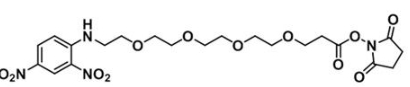 CAS:858126-78-0;DNP-PEG4-NHS ester CAS:858126-78-0;DNP-PEG4-NHS ester