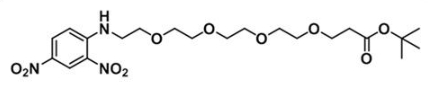 CAS:1817735-31-1;COOtBu-PEG4-DNP;DNP-PEG4-t-butyl ester CAS:1817735-31-1;COOtBu-PEG4-DNP;DNP-PEG4-t-butyl ester