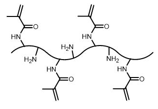 甲基丙烯酰化明胶 甲基丙烯酰化明胶
