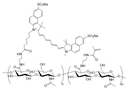 Cy7.5-HA-MA Cy7.5标记甲基丙烯酸酯化透明质酸 Cy7.5-HA-MA Cy7.5标记甲基丙烯酸酯化透明质酸