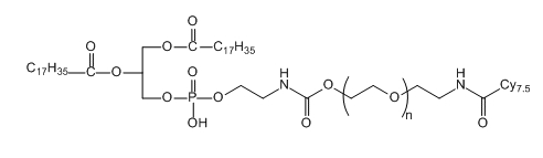 DSPE-PEG-Cy7.5;二硬脂酰基磷脂酰乙醇胺-聚乙二醇-花青素Cy7.5 DSPE-PEG-Cy7.5;二硬脂酰基磷脂酰乙醇胺-聚乙二醇-花青素Cy7.5