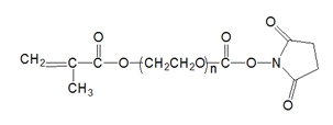MA-PEG-SC;α-甲基丙烯酸酯基-ω-琥珀酰亚胺碳酸酯基聚乙二醇 MA-PEG-SC;α-甲基丙烯酸酯基-ω-琥珀酰亚胺碳酸酯基聚乙二醇