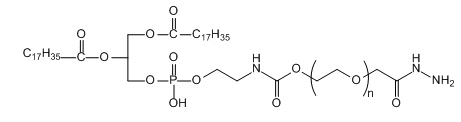 DSPE-PEG-HZ;DSPE-PEG-Hydrazide;二硬脂酰基磷脂酰乙醇胺-聚乙二醇-酰肼 DSPE-PEG-HZ;DSPE-PEG-Hydrazide;二硬脂酰基磷脂酰乙醇胺-聚乙二醇-酰肼
