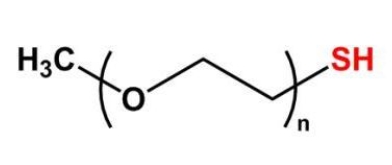 mPEG-SH;甲氧基聚乙二醇巯基 mPEG-SH;甲氧基聚乙二醇巯基