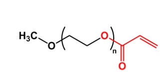 mPEG-AC;甲氧基聚乙二醇丙烯酸酯;mPEG-Acrylate mPEG-AC mPEG-AC;甲氧基聚乙二醇丙烯酸酯;mPEG-Acrylate mPEG-AC