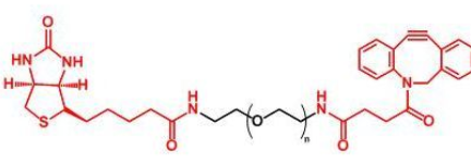 Biotin-PEG-DBCO;生物素聚乙二醇二苯基环辛炔 Biotin-PEG-DBCO;生物素聚乙二醇二苯基环辛炔