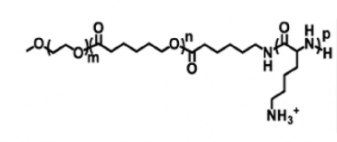 mPEG-PCL-PLL;甲氧基聚乙二醇-聚己内酯-聚赖氨酸mPEG-PCL-PLL;甲氧基聚乙二醇-聚己内酯-聚赖氨酸 mPEG-PCL-PLL;甲氧基聚乙二醇-聚己内酯-聚赖氨酸mPEG-PCL-PLL;甲氧基聚乙二醇-聚己内酯-聚赖氨酸