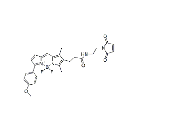 BDP TMR maleimide BDP TMR maleimide