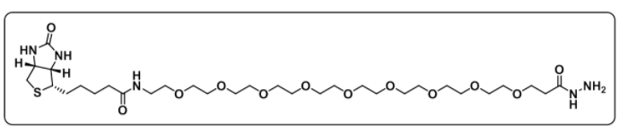 Biotin-PEG9-hydrazide Biotin-PEG9-hydrazide