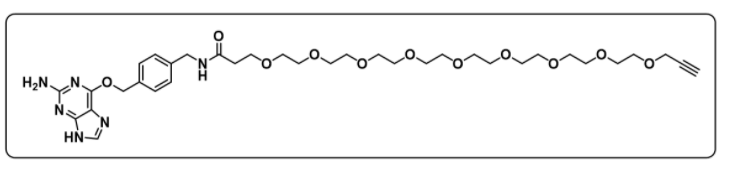 Alkyne-PEG9-SNAP Alkyne-PEG9-SNAP