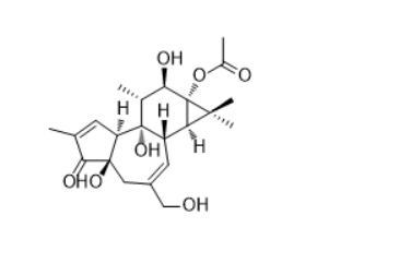 CAS :32752-29-7 Phorbol 13-acetate 佛波醇 13-乙酸酯 CAS :32752-29-7 Phorbol 13-acetate 佛波醇 13-乙酸酯
