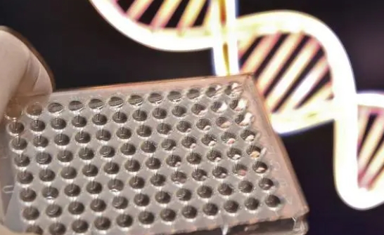 DKFZ-PSMA-617分子探针 DKFZ-PSMA-617分子探针